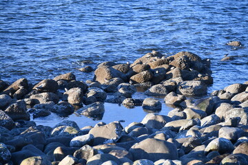 Rocky tide pool on Oregon coast.