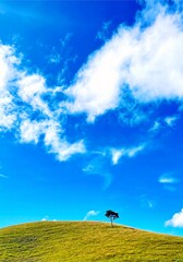 Simple and serene landscape. The single tree is the focal point of the image, and it creates a...