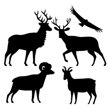 Stencil illustration of silhouette of American wildlife of an elk or wapiti, mule deer, male and female bighorn sheep and California condor on isolated background done in black and white retro style.
