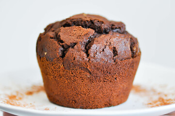 chocolate cake or dark chocolate cake or chocolate cupcake