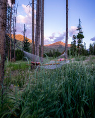 Hammock in the Rocky Mountain forest