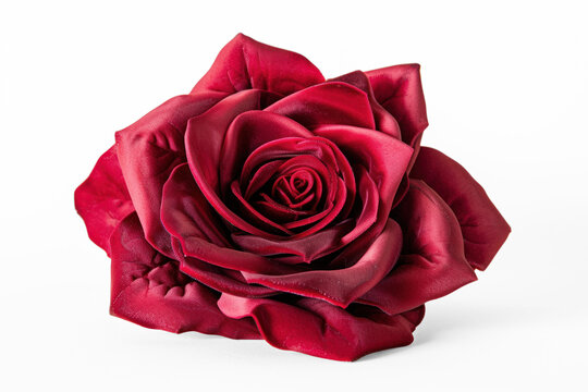 red rose on transparency background PNG
