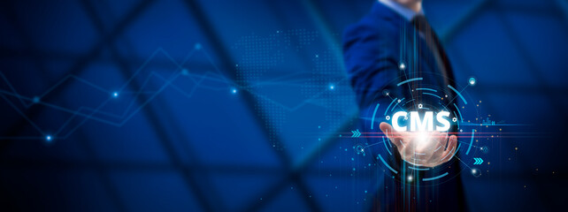 CMS: Content Management System, Digital Solutions, Website Development, Data Integration....