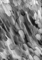 Black and white watercolor texture