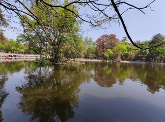 Fototapeta na wymiar lake in the park, lago en el parque 