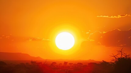 Fototapeta premium Closeup sunset with big sun and cloudless sky. Morning light.