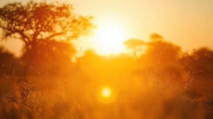Closeup sunset with big sun and cloudless sky. Morning light. - obrazy, fototapety, plakaty