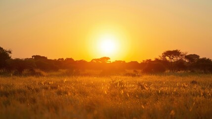 Closeup sunset with big sun and cloudless sky. Morning light.