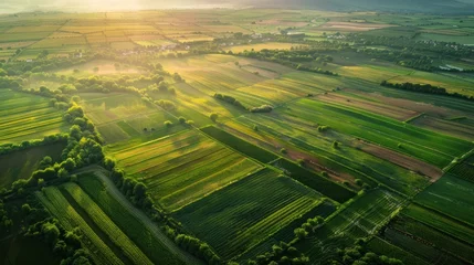Rolgordijnen Aerial view of tea fields in soft sunlight © somchai20162516
