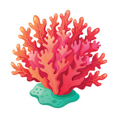 Coral illustration on White Background