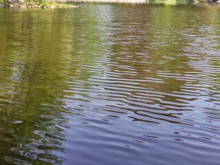 reflection of trees in water  , reflejo de los árboles en el agua
