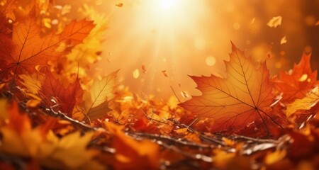  Autumn's golden glow, a symphony of fallen leaves