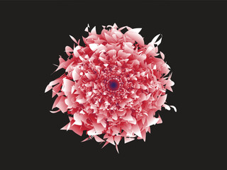 Flower petals vector, floral bud Vector flowers. Spring art print with botanical elements. Happy Easter. Folk style. Posters for the spring holiday. icons isolated on black gradient background.