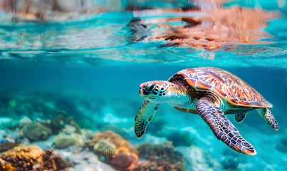 Foto op Canvas A sea turtle swims in the turquoise waters of the ocean, Generative AI  © simba kim