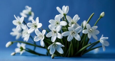  Elegant white flowers in bloom