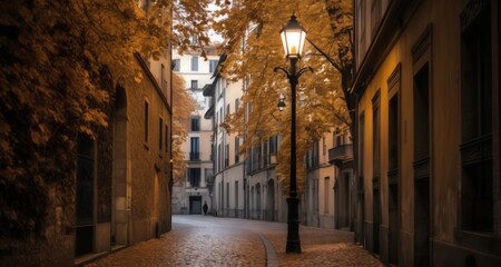 Fototapeta na wymiar Narrow street with old buildings and hanging lanterns