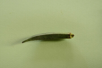 緑の紙の上に置いた一本のオクラ