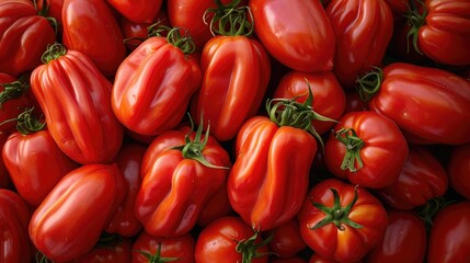San Marzano tomatoes from Vesuvius, Italy