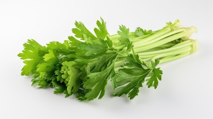 fresh celery leaves isolated on white background