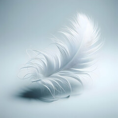 white feather on a white background