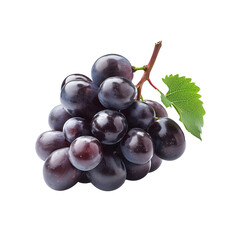 Fototapeta premium Bunch of ripe dark blue grapes isolated on white background.