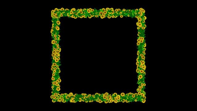 Square frame with yellow daisy flowers and green leaves on plain black background