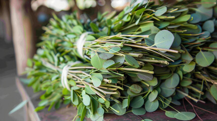 Obraz premium A bundle of fresh eucalyptus leaves and stems ready to be distilled and turned into a potent oil that can relieve respiratory issues.