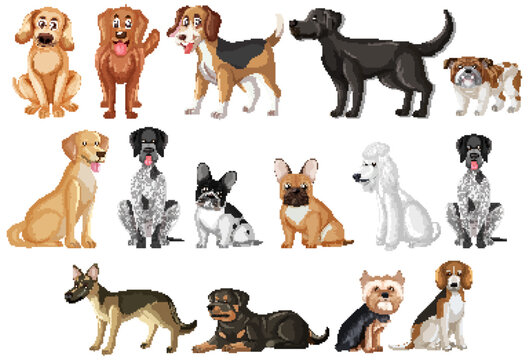 Collection of various cartoon dog breeds standing and sitting.