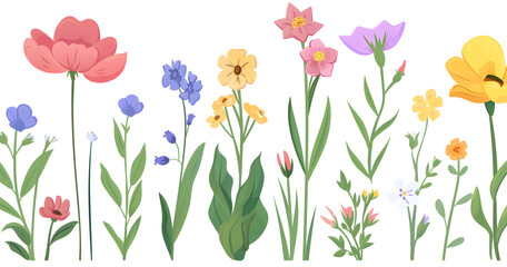 Naklejka premium Spring flowers in the garden isolated on the white background. Summer background concept wallpaper