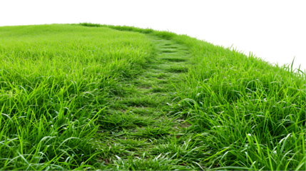 Green Grass path. Grass road isolated on transparent background