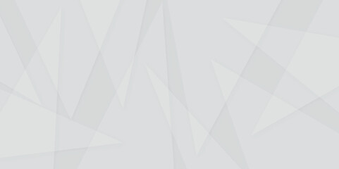 White and gray color geometric style with simple lines and corners abstract background design. geometric triangle pattern shape background. white elements in blank space geometric white lines design.