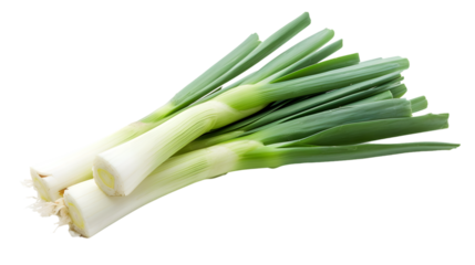 leek isolated isolated on transparent white background