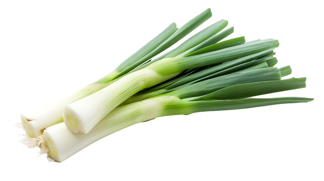 leek isolated isolated on transparent white background