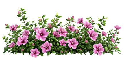 Nature shrubs flowery realistic isolated on transparent background