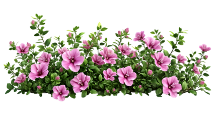 Nature shrubs flowery realistic isolated on transparent background
