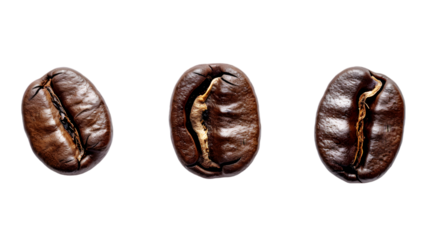 Set of roasted coffee beans isolated on transparent background