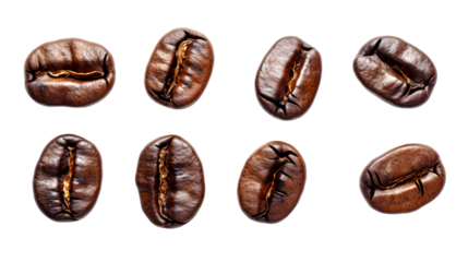 Set of roasted coffee beans isolated on transparent background