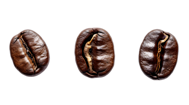 Set of roasted coffee beans isolated on transparent background