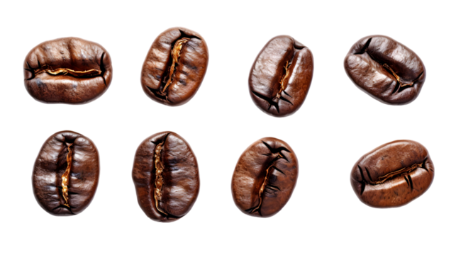 Set of roasted coffee beans isolated on transparent background