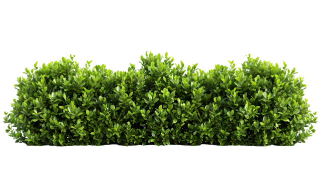 Shrubs green plants fence line cut out isolated on transparent background