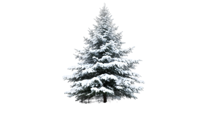 snow covered fir tree isolated on transparent background