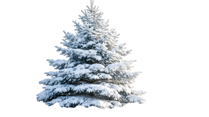 snow covered fir tree isolated on transparent background