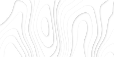 Abstract paper carve template. abstract white 3d papercut topography relief vector background illustration. topographic canyon geometric map relief texture with curved layers and shadow.