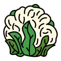   Cauliflower line filled icon