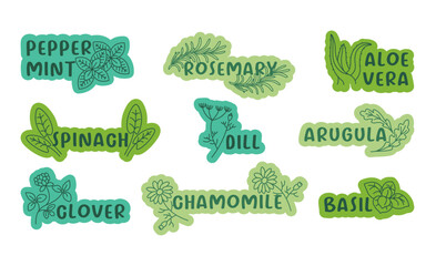 Sticker design set with line seasoning herbs