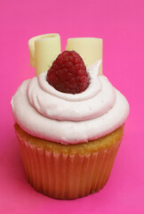Vanilla cupcake pink background 