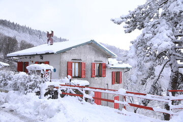 Naklejka premium house in snow