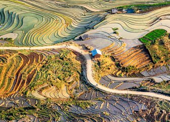Beauty of rice terraced fields in Northern Vietnam.