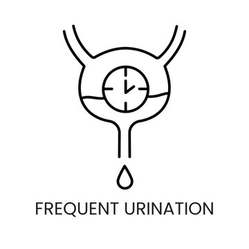 Diabetes symptom frequent urination line vector icon with editable stroke