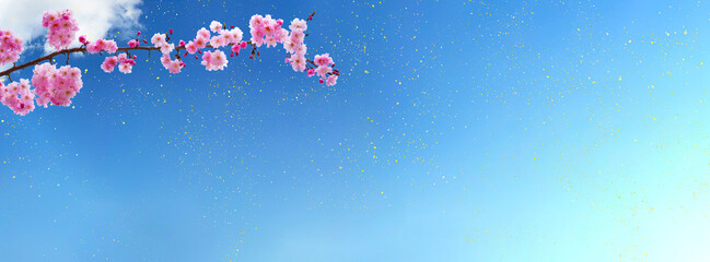 青空に一輪の桜と風に舞う金のラメ　背景素材